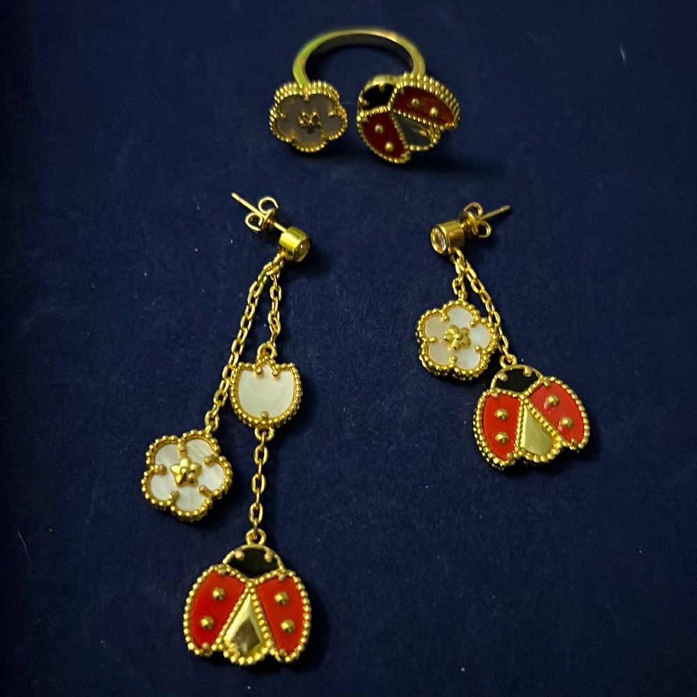 Unique earring and ring set